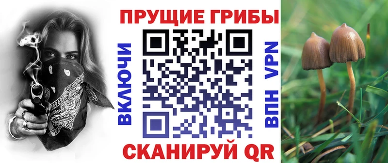 Галлюциногенные грибы Magic Shrooms  хочу   Домодедово 