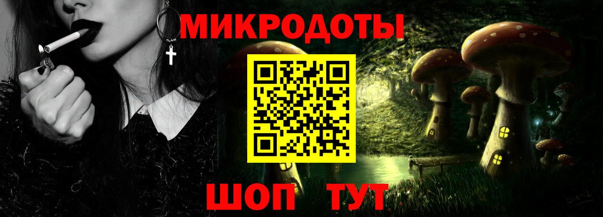 Галлюциногенные грибы Psilocybine cubensis Домодедово